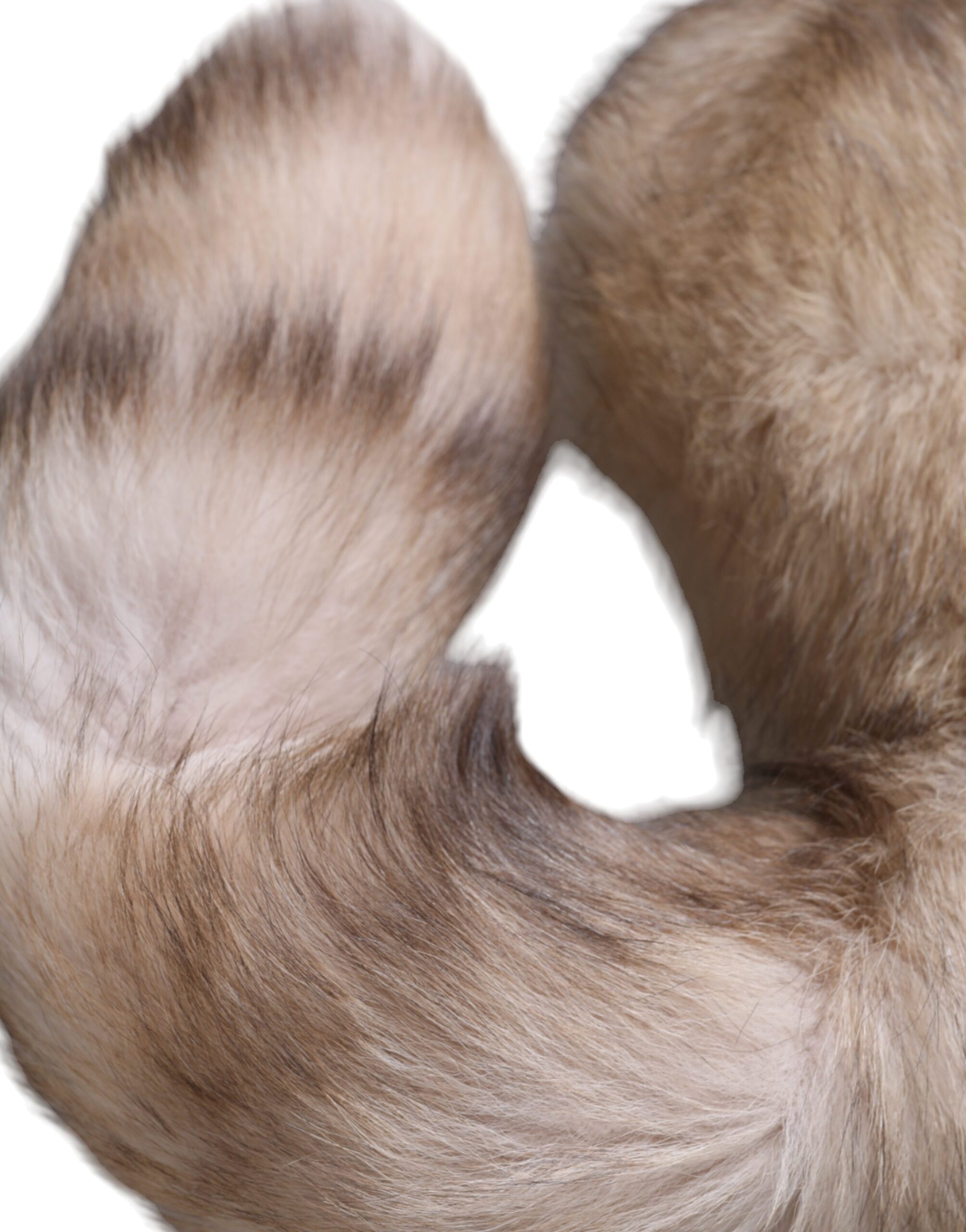 Dolce & Gabbana Brauner Frostfuchs Pelz Halswärmer Winterschal – Bild 3